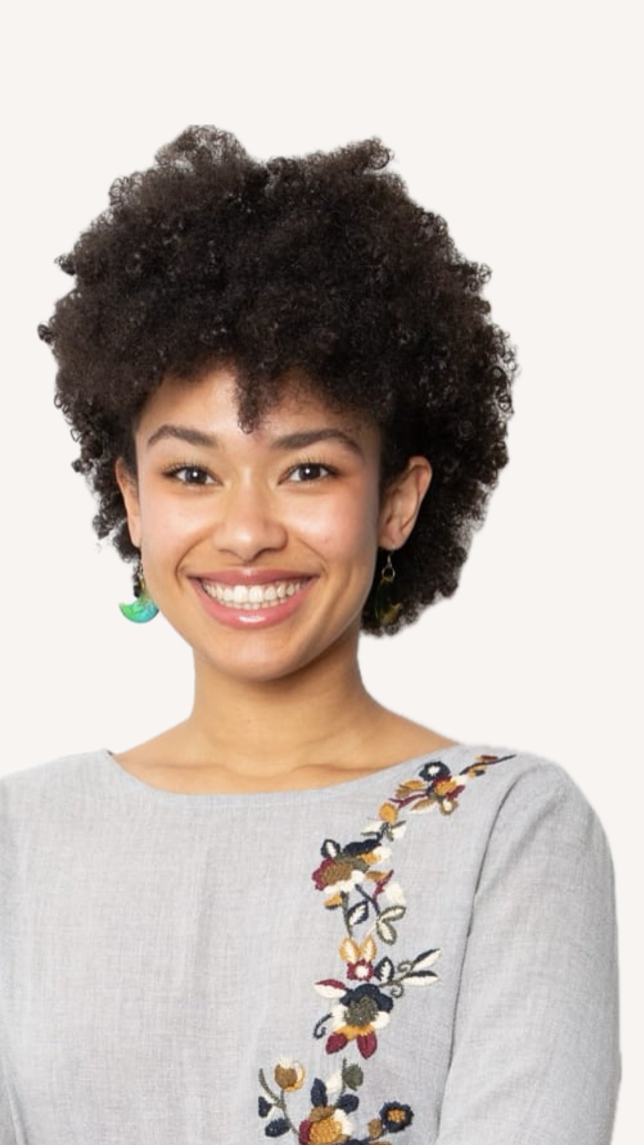 Portrait de Dana, Reconnector