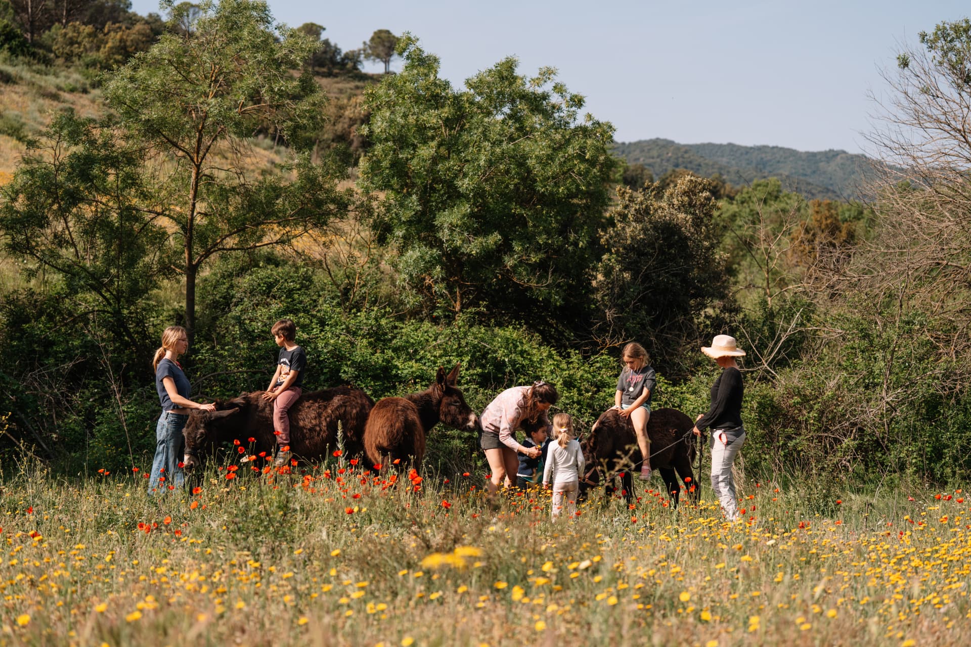 Children and horses in a natural setting.